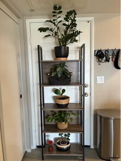 Bookcase plant stand