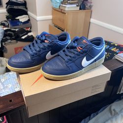 Nike SB Dunk Low Pro