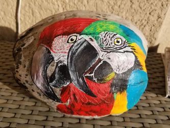 Custom Hand-Painted Coconuts