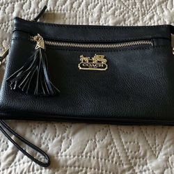 coach leather clutch