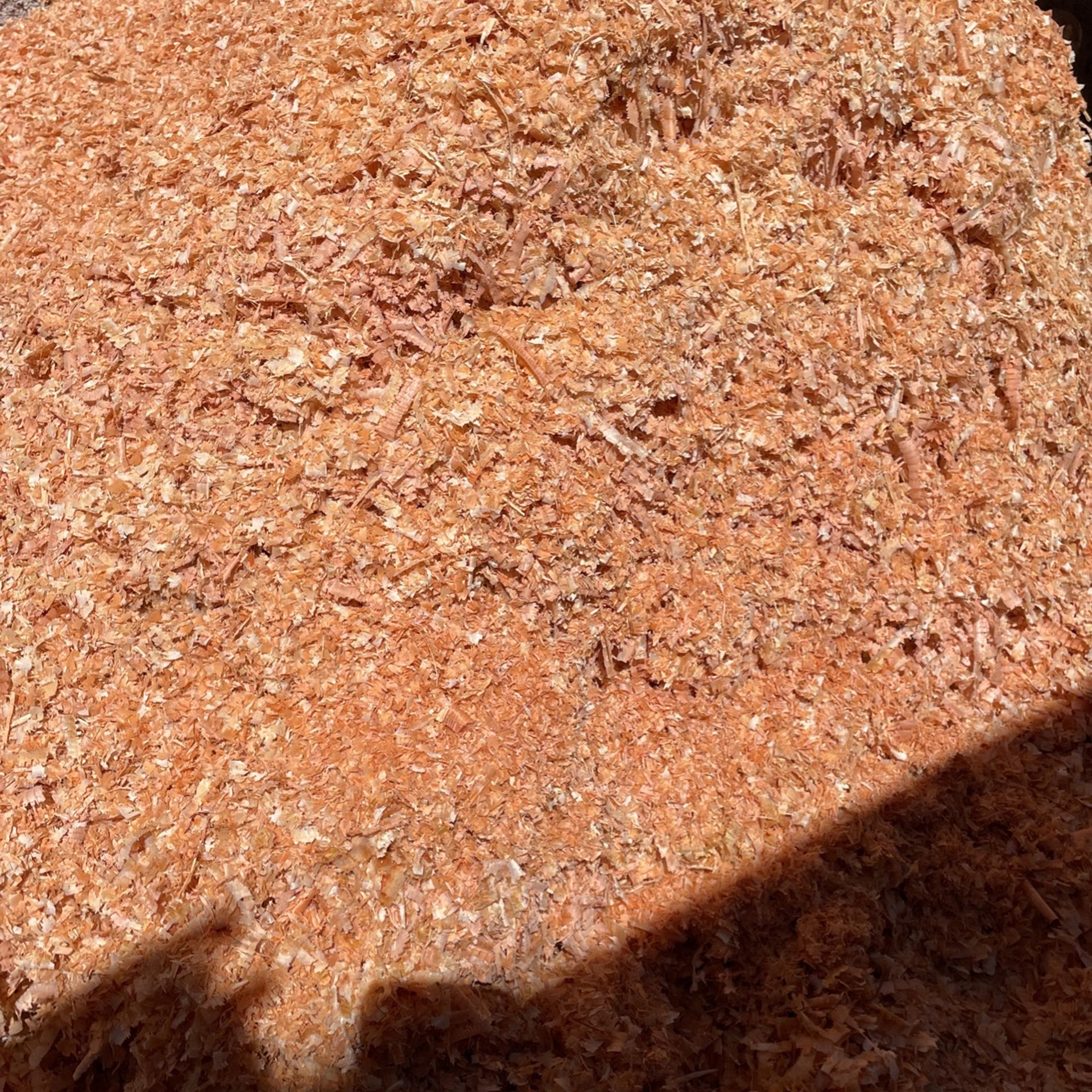 SawDust