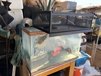 Fish Tank Turtle Tank