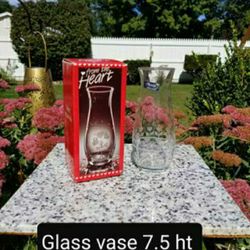 Glass Vase 