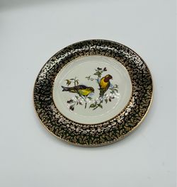 vintage decorative bird Wood & Sons England Plate D 10 Inches
