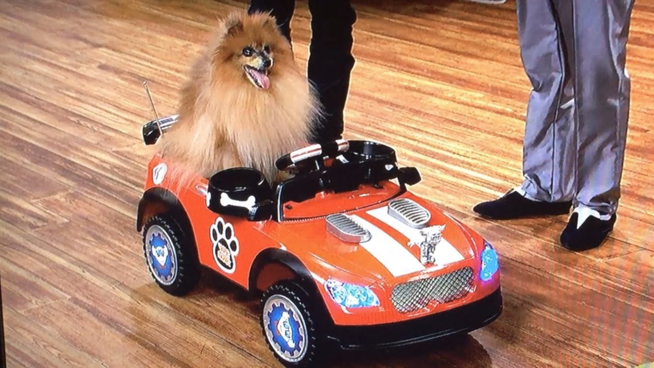 Ruff Rider Electric Car 🚘