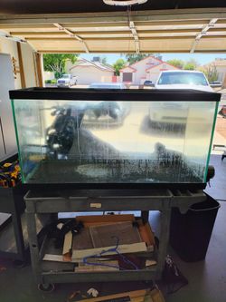 90 gallon fish tank