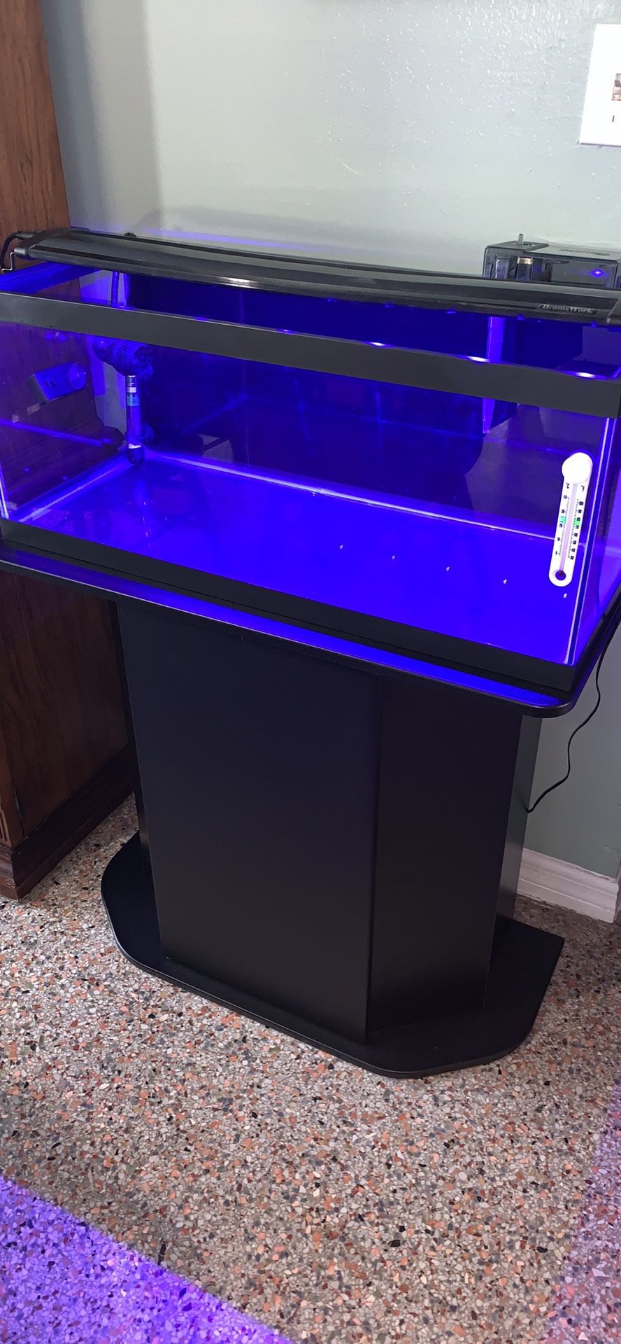 20 Gallon Long Fish Tank Set Up