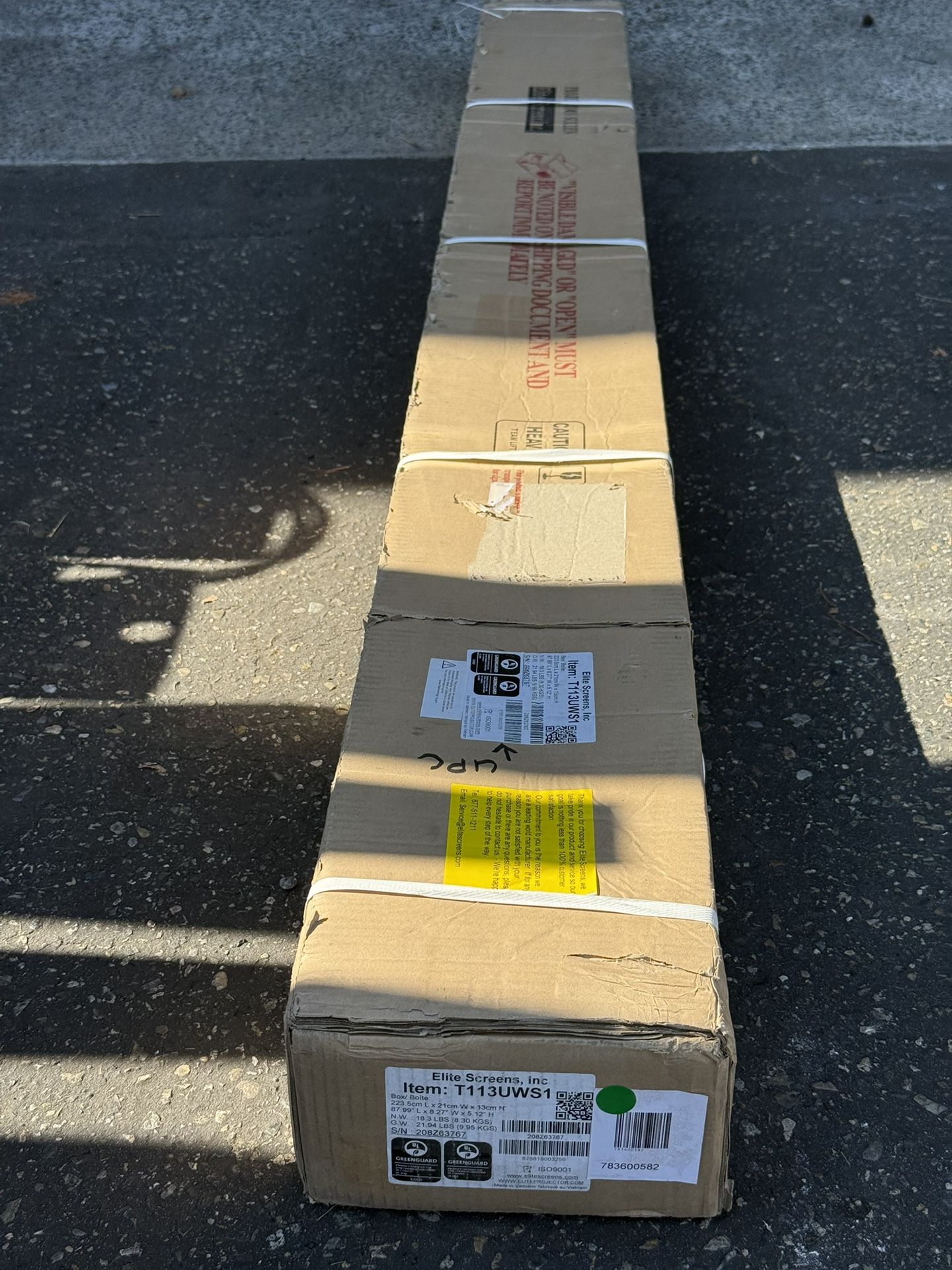 Projection Screen With Tripod 