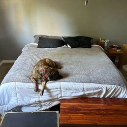 Queen Size Bed And Frame 