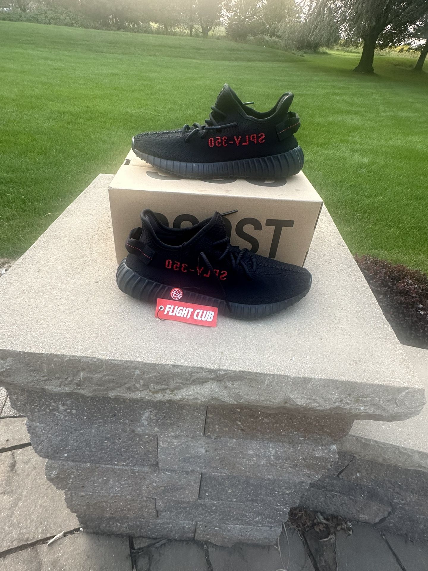 Yeezy 350 V2 Bred (Size 8.5)