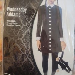 Wednesday Addams Costume 