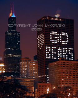 Chicago Bears Skyline 11x14 Original Photo