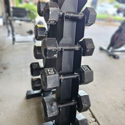 Dumbells and Rack