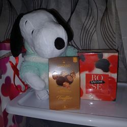 Regalo De Valentines ❤️🐼🐻❤️