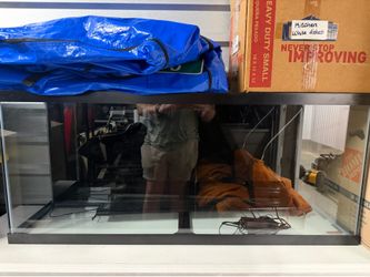 55 gallon fish tank
