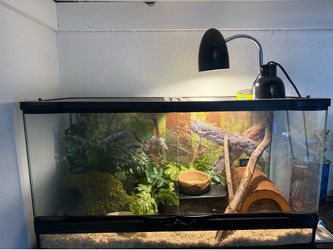 Ball python enclosure