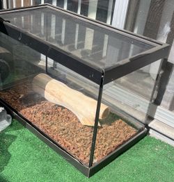 iguana tank