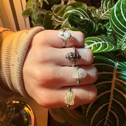 Crystal and Shell Rings