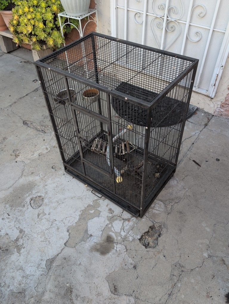Birdcage
