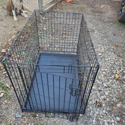 Animal Gage Medium Size 