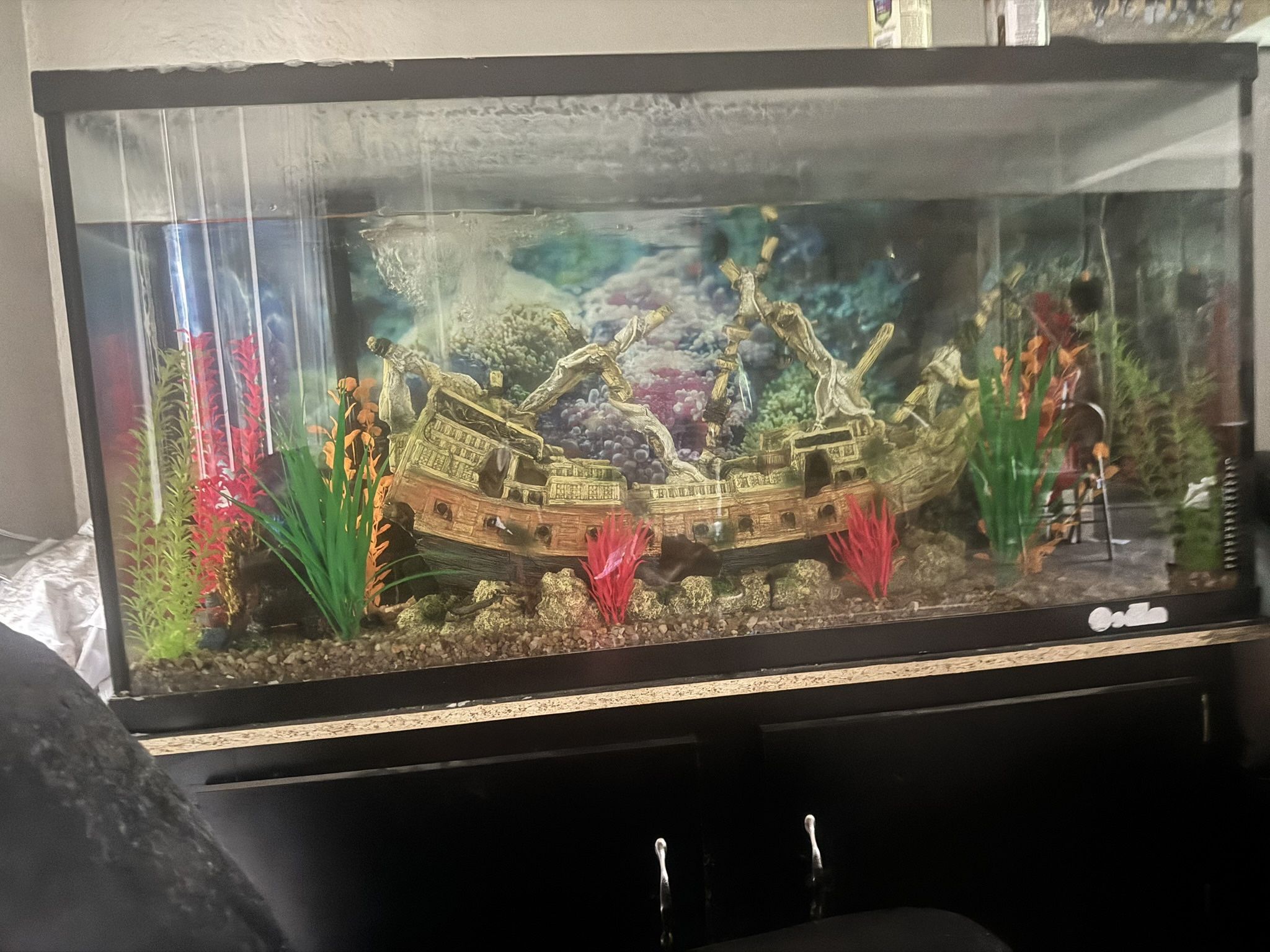 Fish Tank
