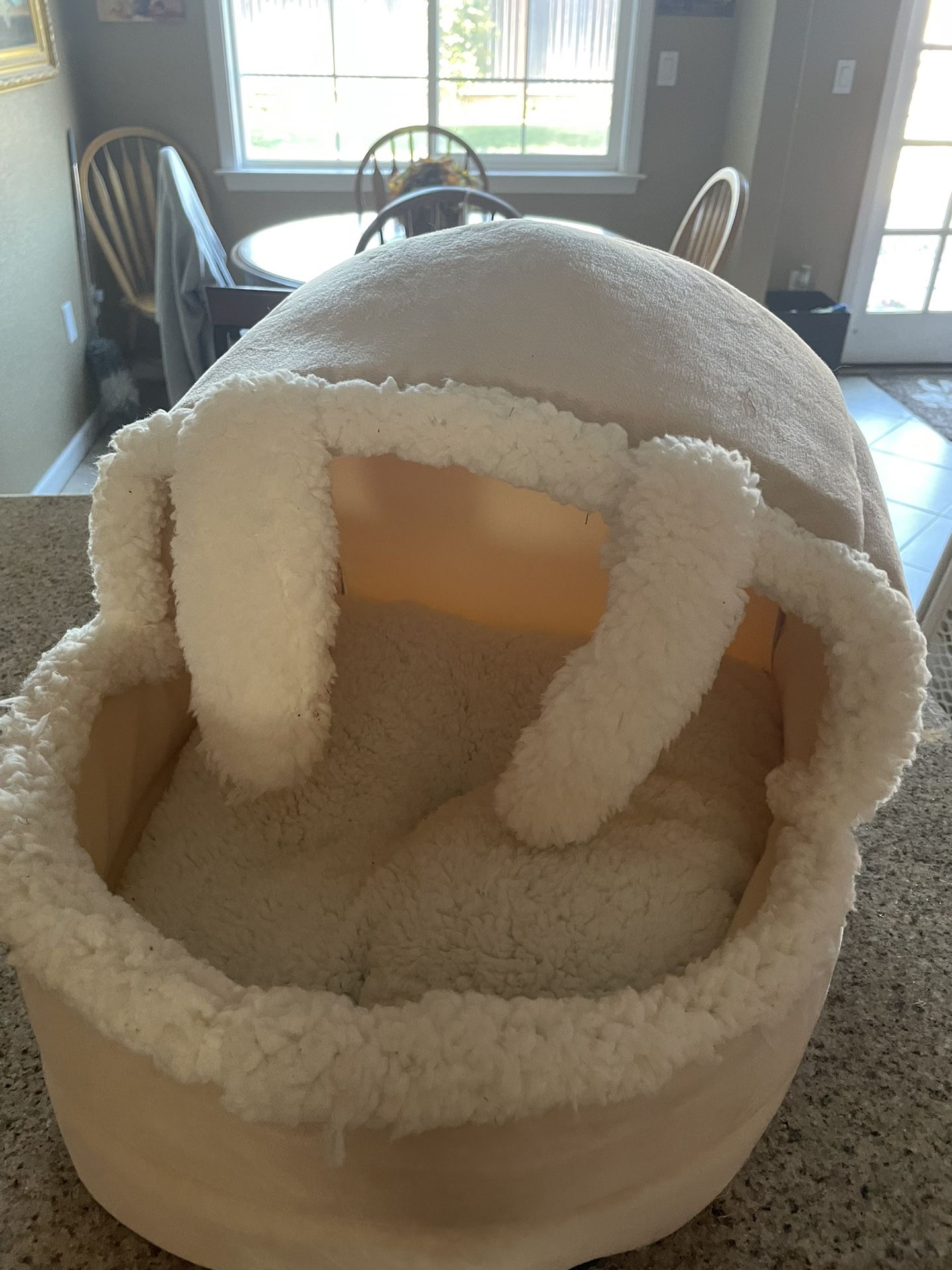 Cat ( Or Small Dog) Bed