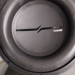 Ds18 12 Inch Subwoofers