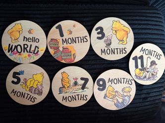 Winnie the Pooh Baby’s First Year Photo Props