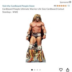 Wwe Cardboard Character 