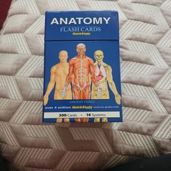 Anatomy Flash Cards