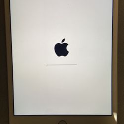 iPad Mini 4