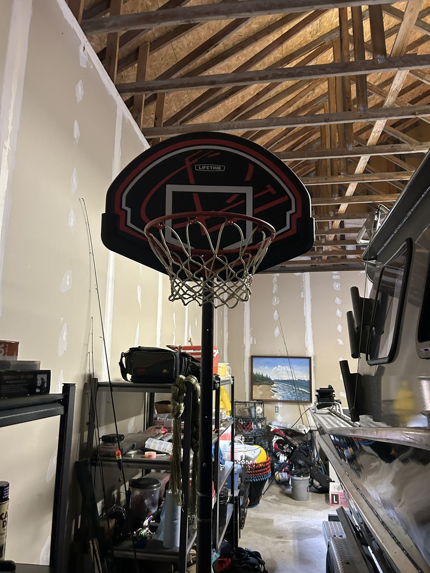 Lifetime Kids basketball Hoop