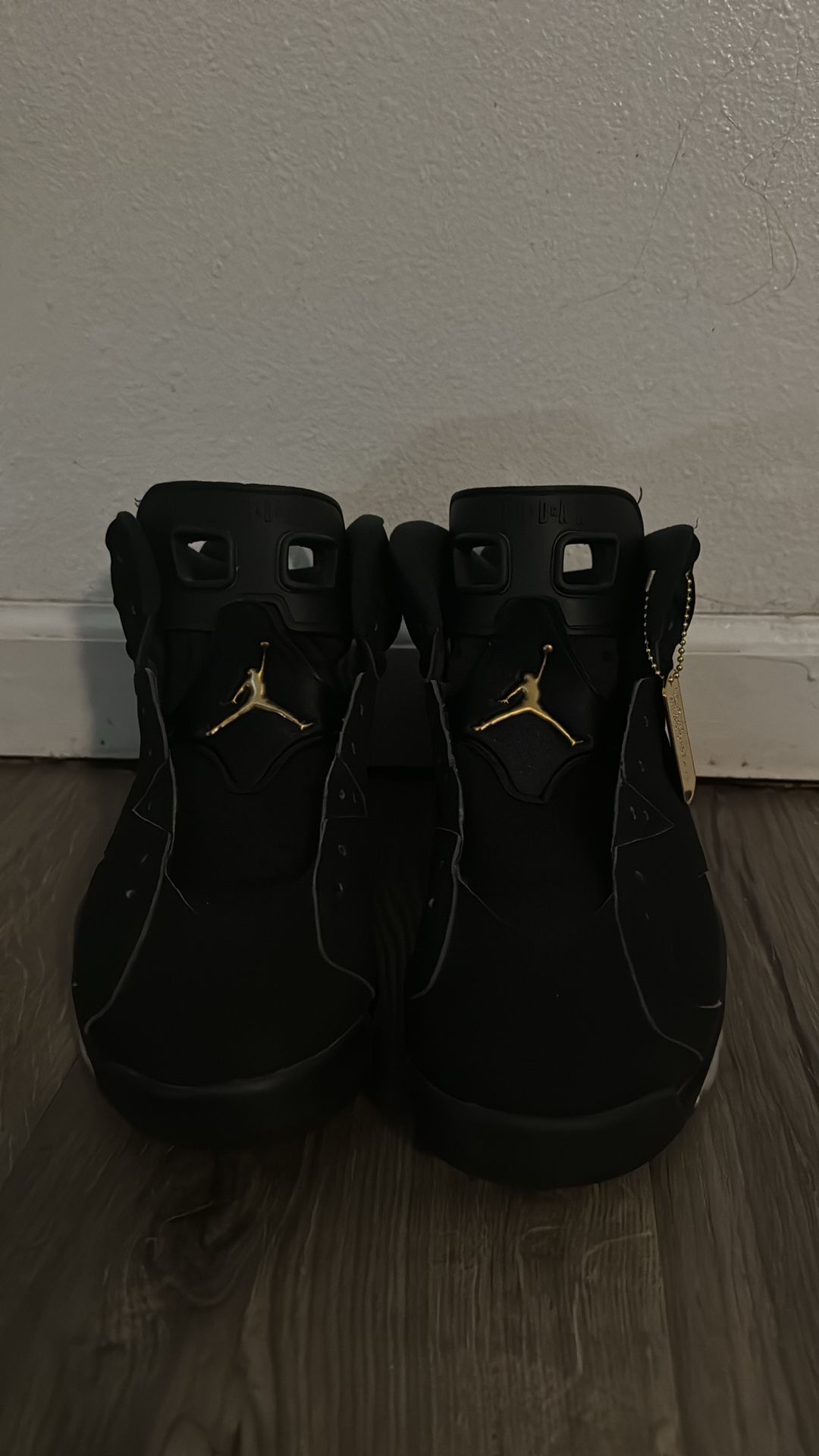 Jordan 6s
