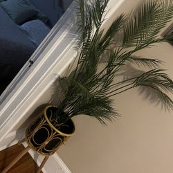 Plant Stand, And Plastic Plant