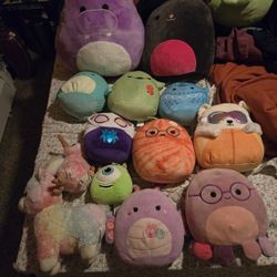 Squishmallows And Stuffed Animals 