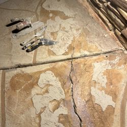 Swimming Pool Deck Repair