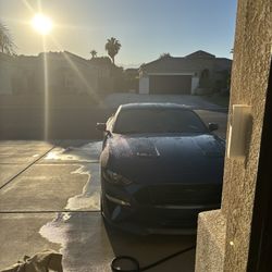 2019 Ford Mustang