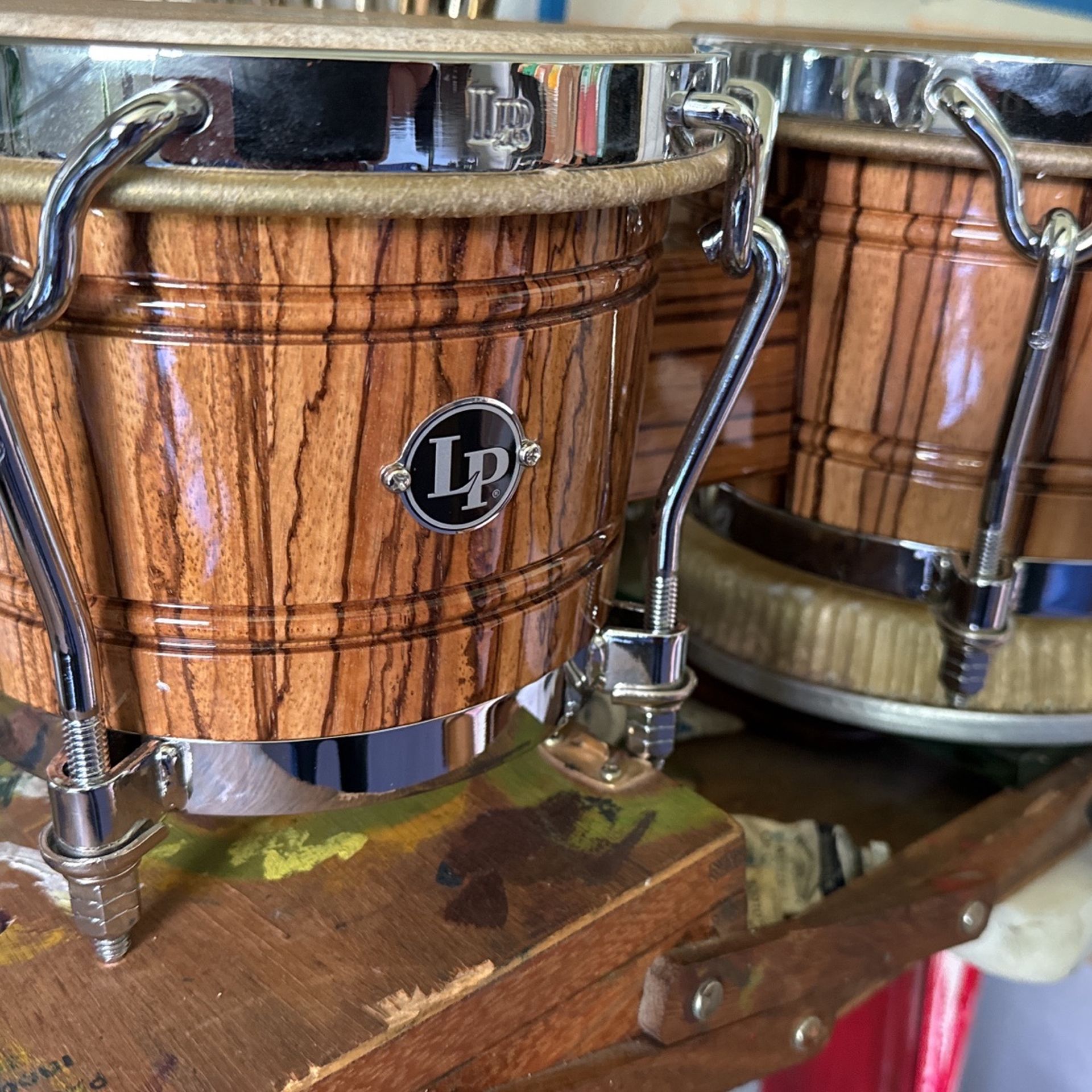 Very Rare LP Dandy Bongos Zebra Wood
