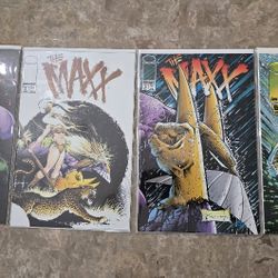 The Maxx Comic Book Lot