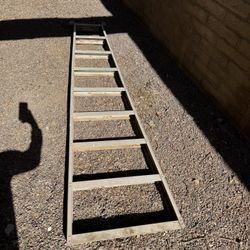 Aluminum ladders