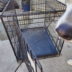 Small Dog Cage