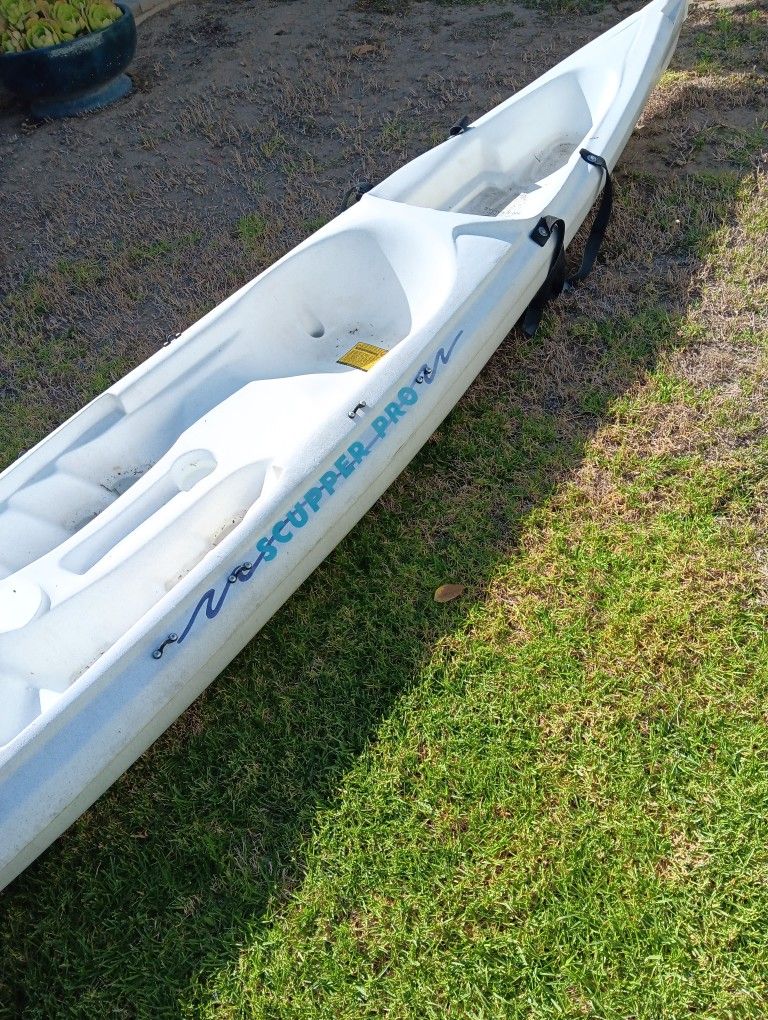 2 Kayaks. Good Condition Includes Paddles And Dolly