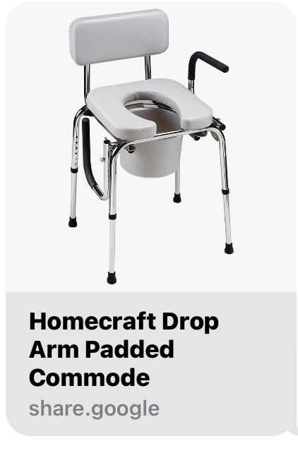 Brand New ! Potty cushioned chair With Metal Handles