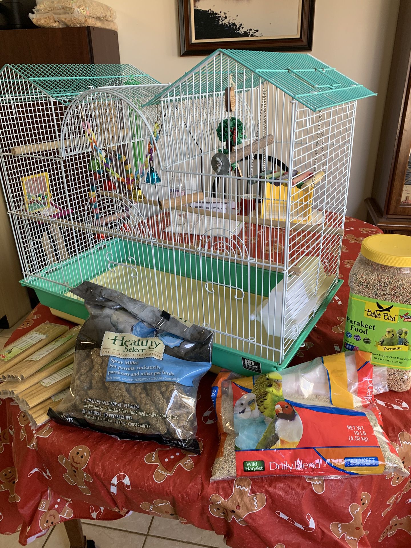 Bird Cage