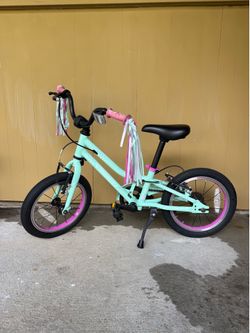 Guardian kids bike 14