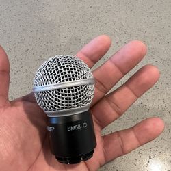 Shure Capsule