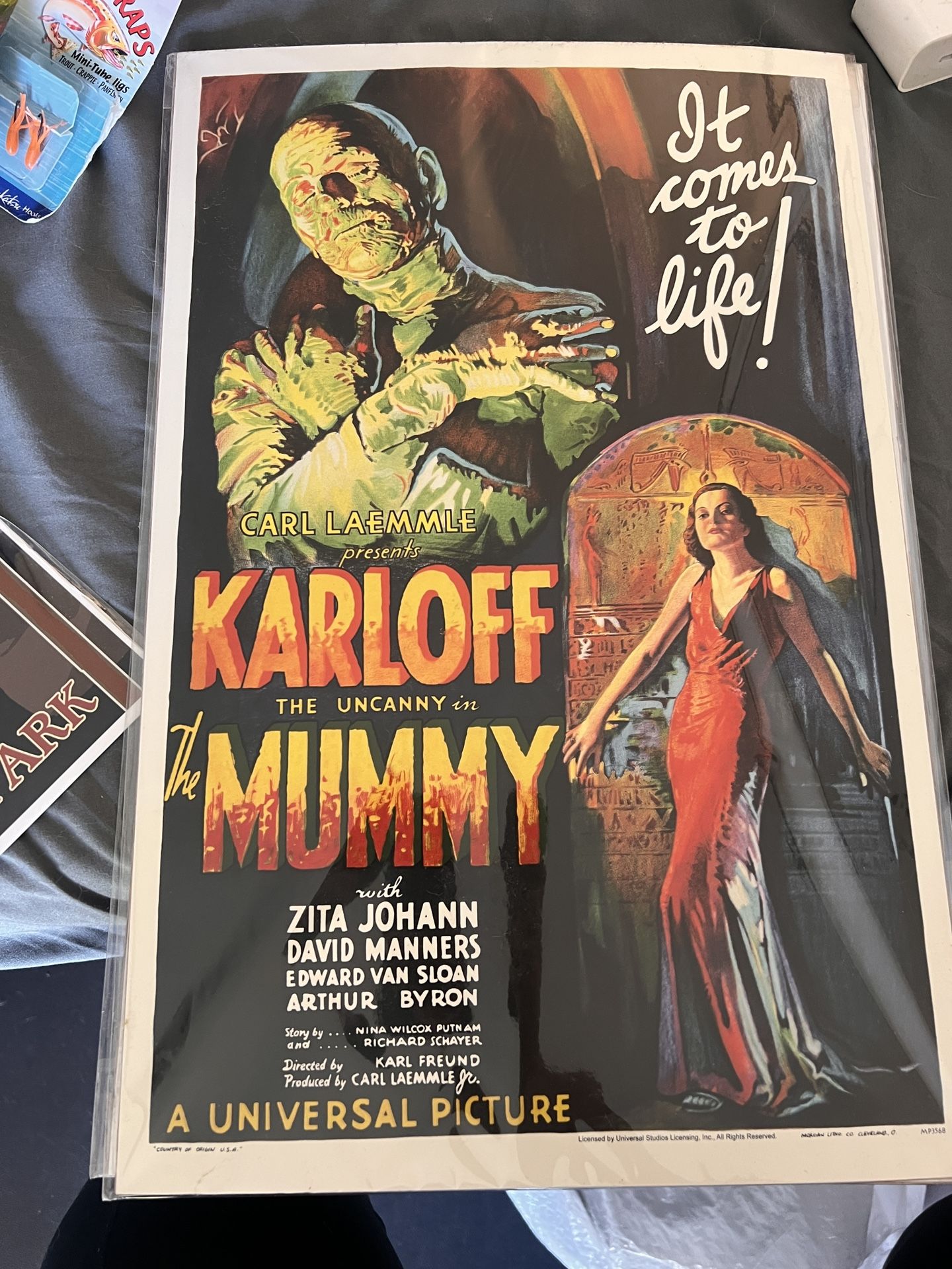 Mummy Universal Studios Poster
