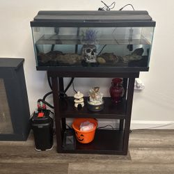 Fish Tank With Stand And Filter