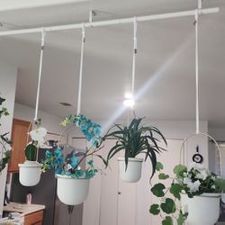 Hanging Pots With Bar 