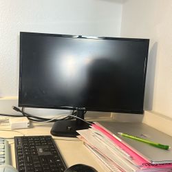 Computer Monitor 